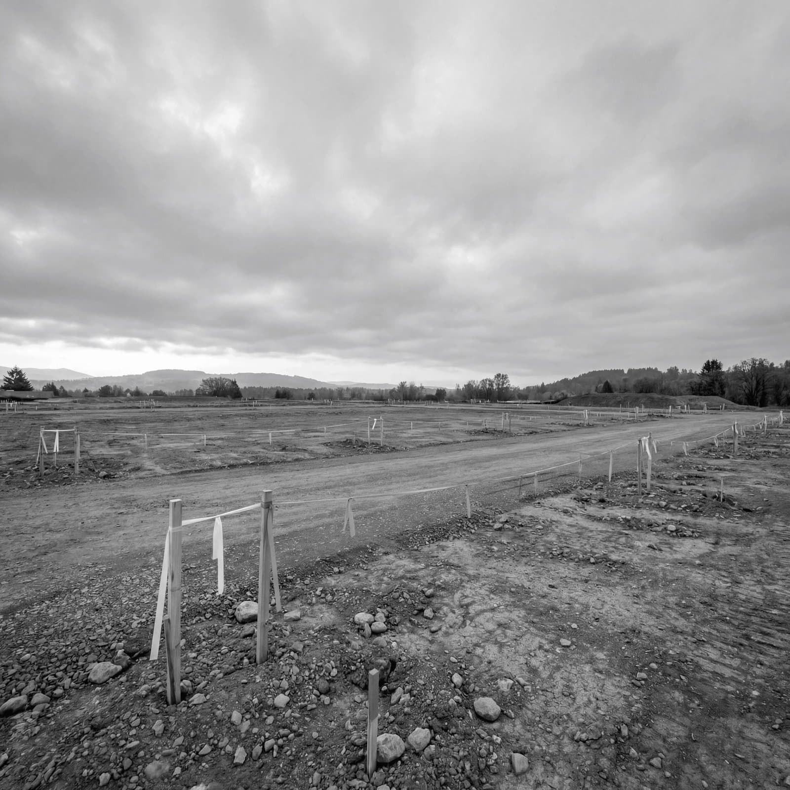 Land Feasibility & Due Diligence
